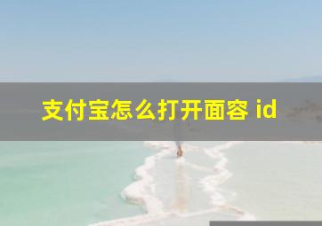 支付宝怎么打开面容 id